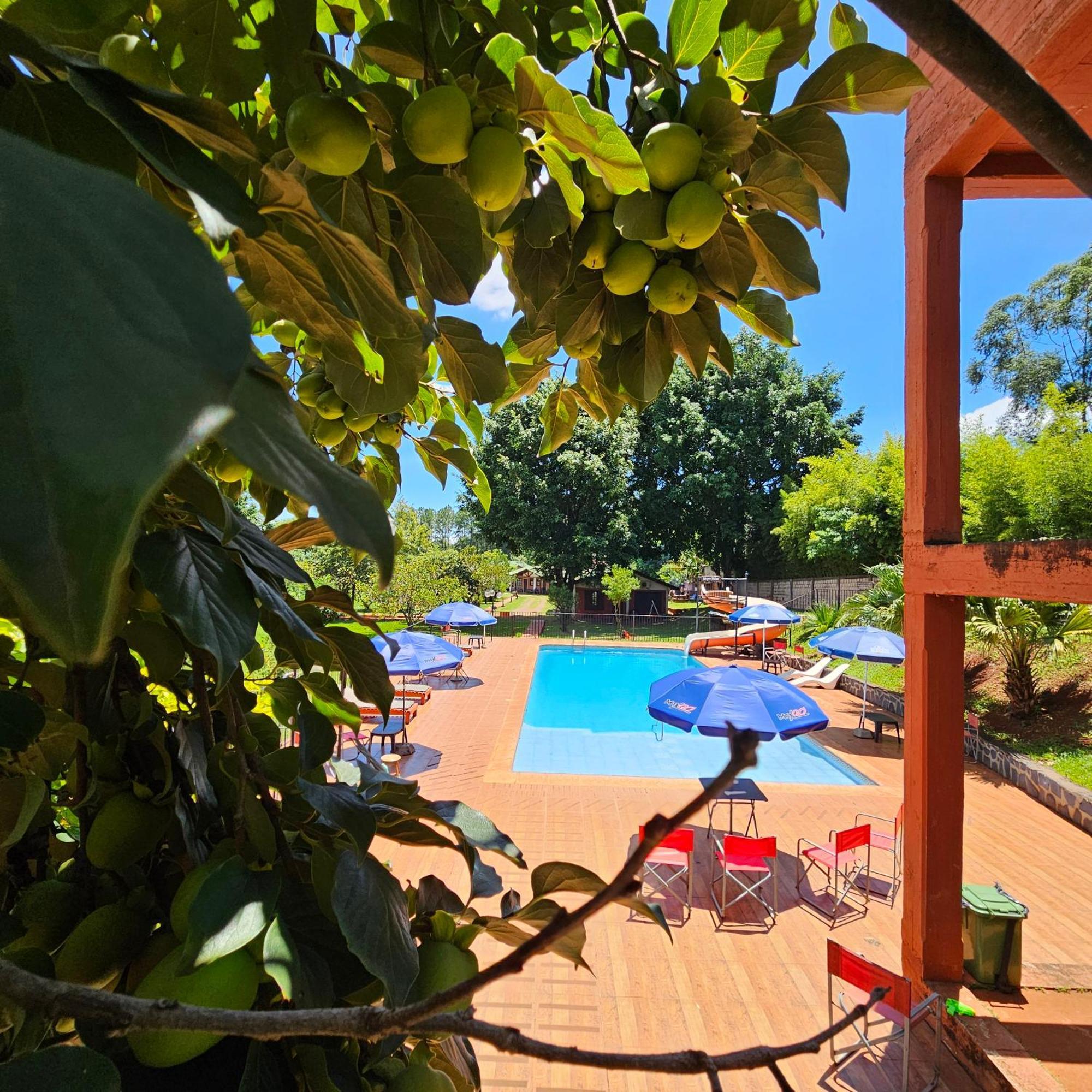 Cabanas El Refugio Del Mensu Puerto Iguazu Exterior photo